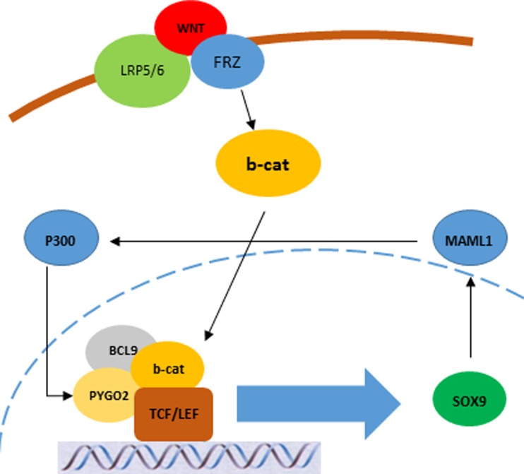 Fig. 2