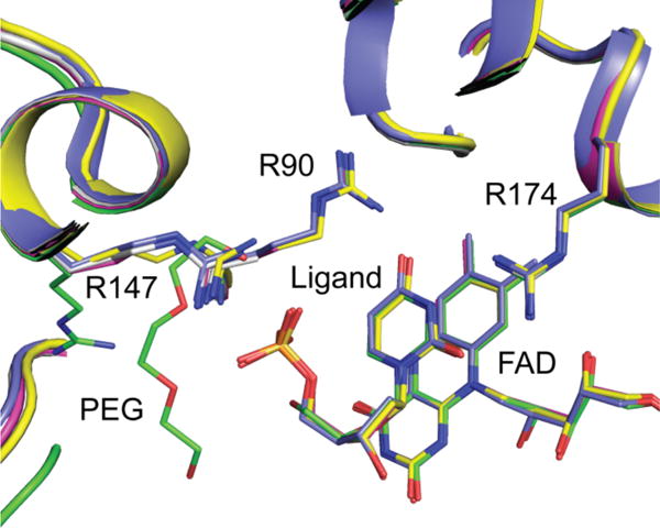 Figure 6