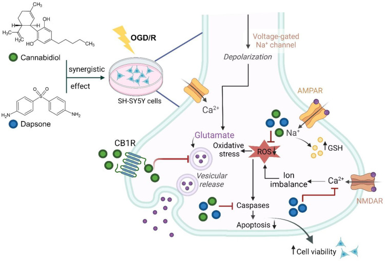 Figure 7