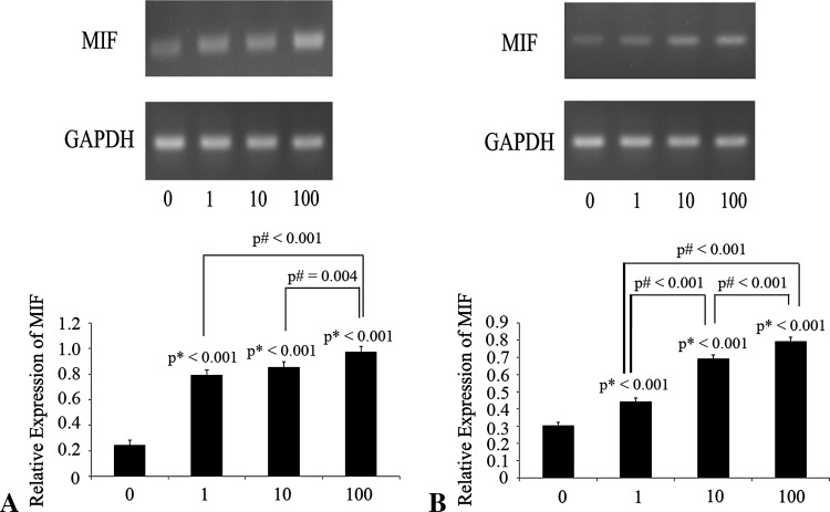 Fig. 4A–B