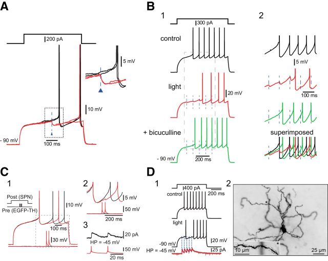 Figure 11.