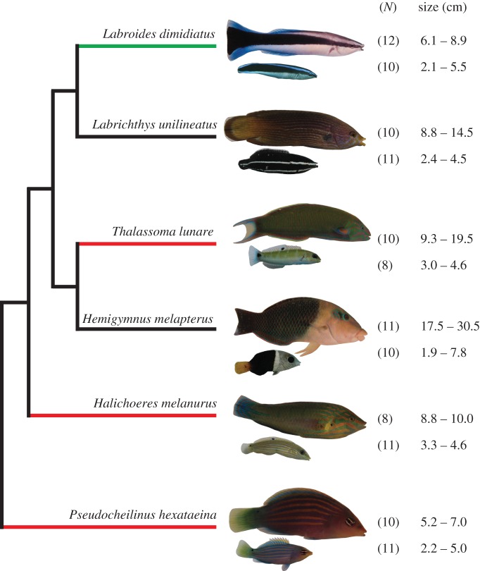 Figure 1.