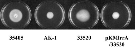 FIG. 10.