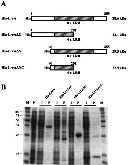 FIG. 4.