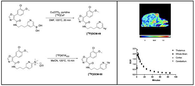 graphic file with name nihms-1680899-f0001.jpg