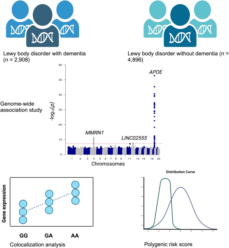 Graphical Abstract