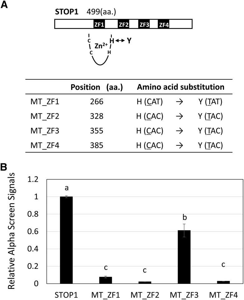 Figure 6.