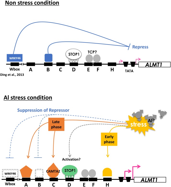 Figure 10.