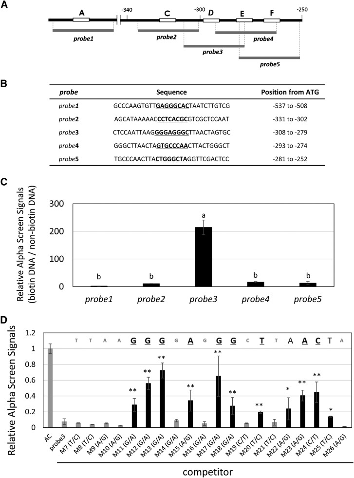 Figure 5.