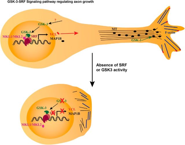 Figure 10.