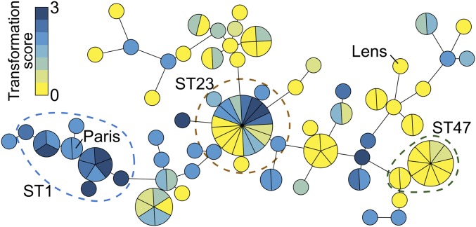 Fig. 1.