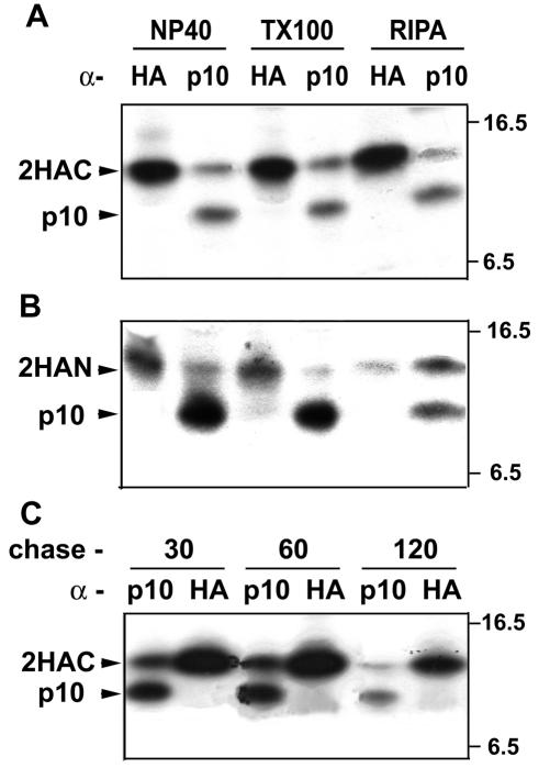 FIG. 8.