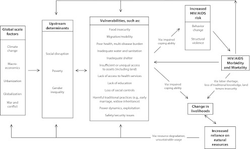 FIGURE 2—