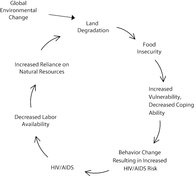 FIGURE 1—