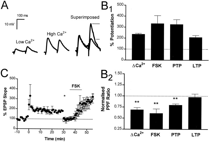 Fig. 9.