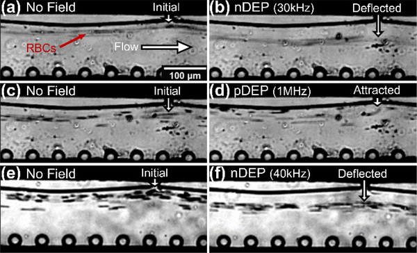 Figure 6: