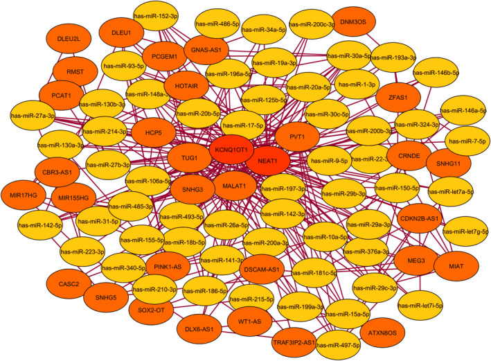 FIGURE 4