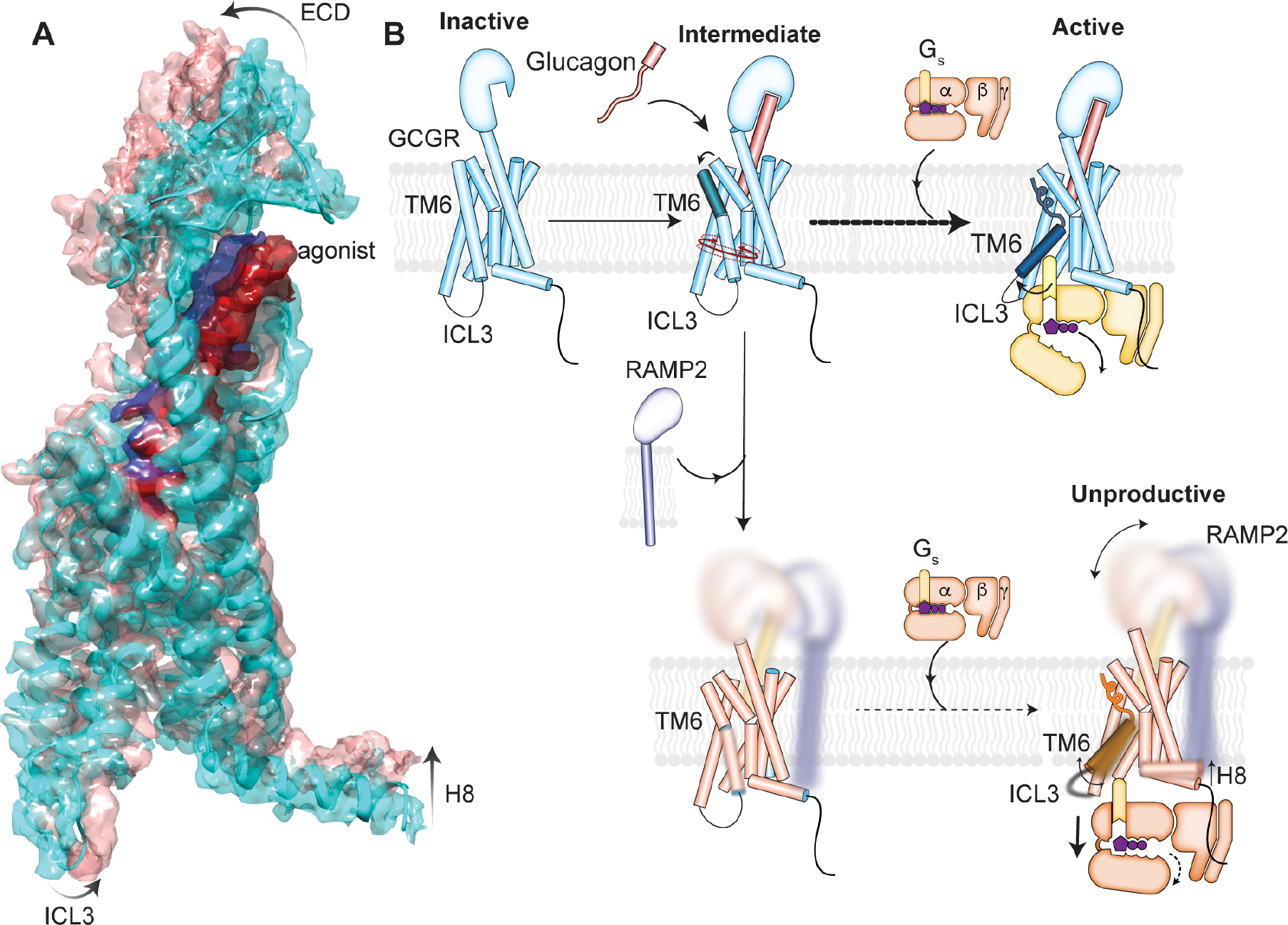 Figure 6.