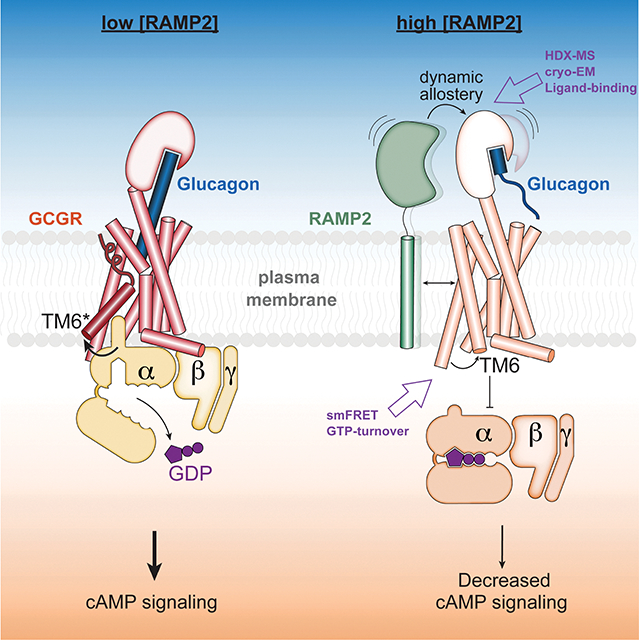 graphic file with name nihms-1886828-f0001.jpg