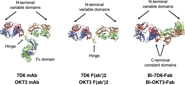 Figure 1