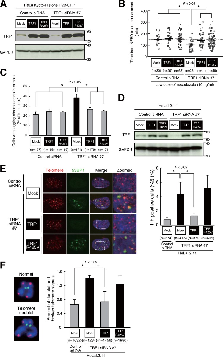 FIG 6