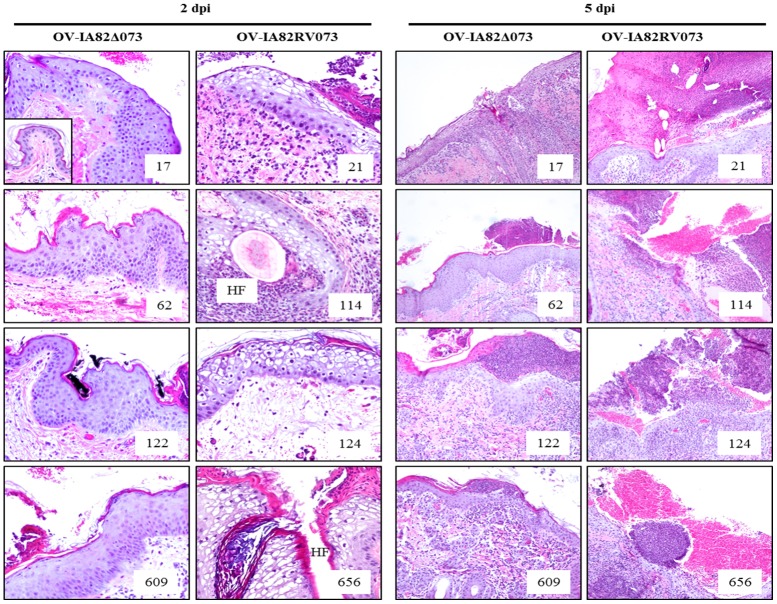 Fig 12