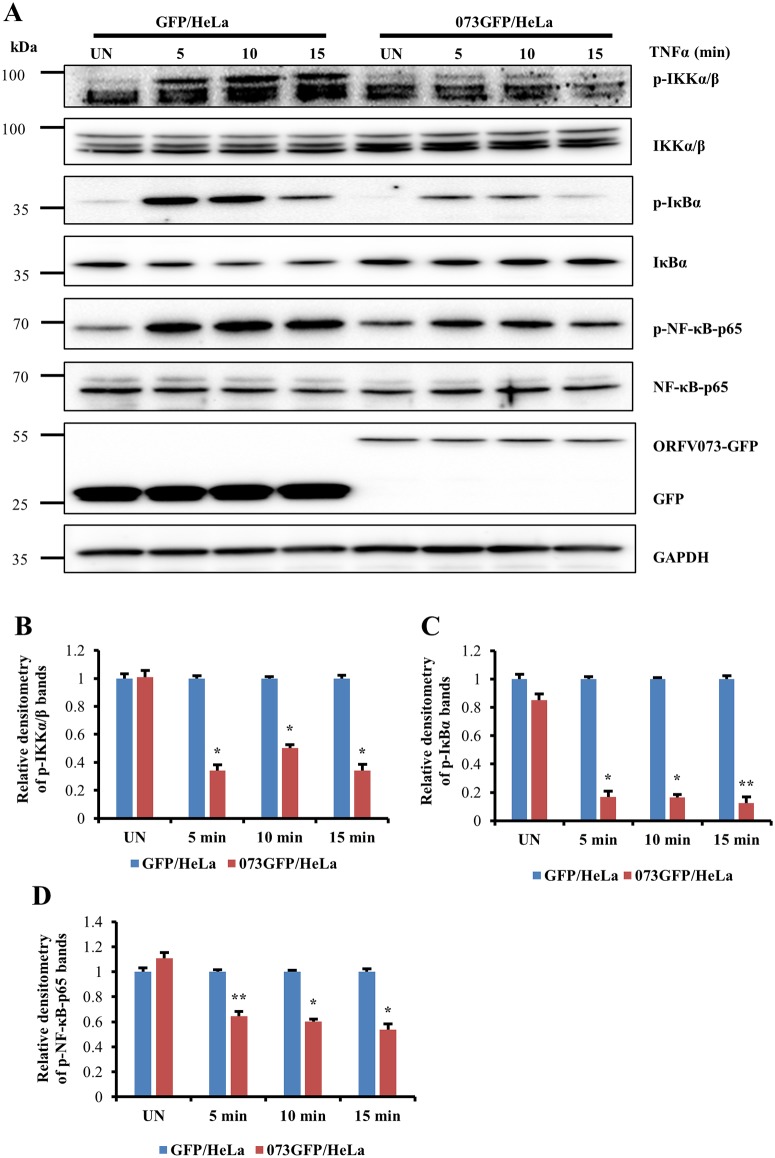 Fig 9