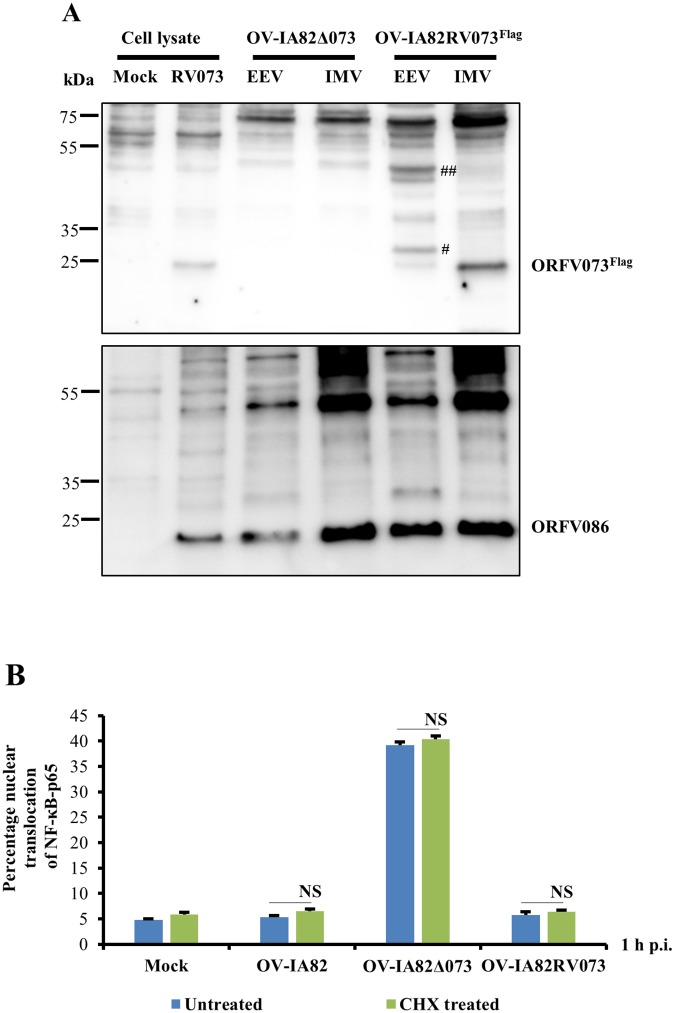 Fig 7