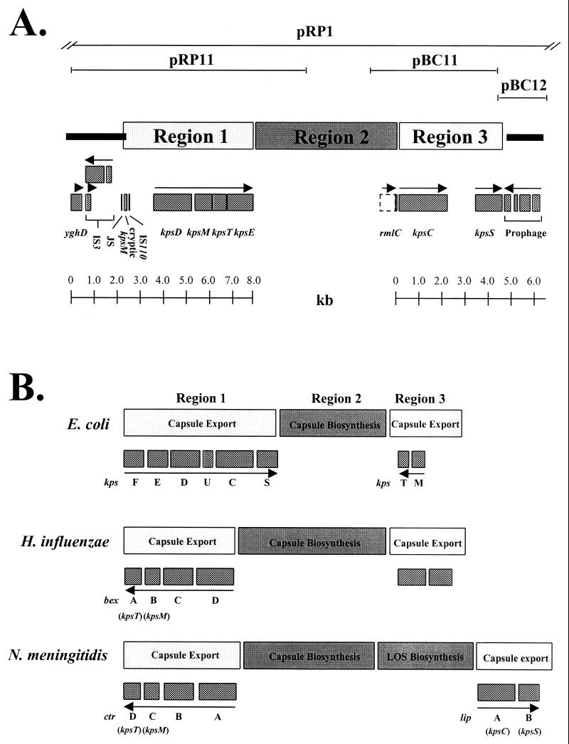 FIG. 1