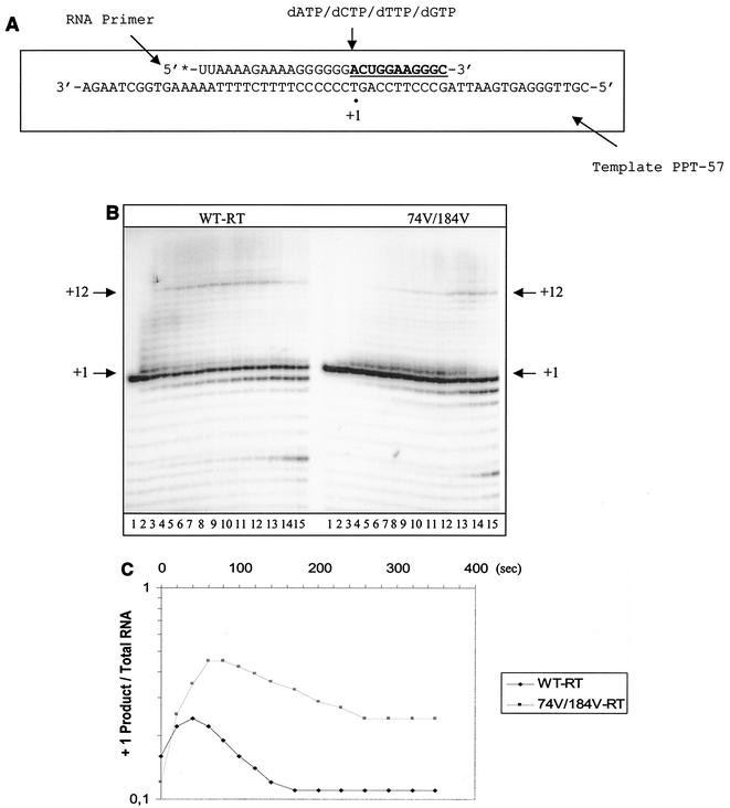 FIG. 5.