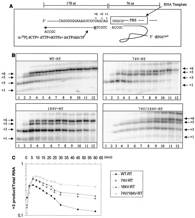 FIG. 4.