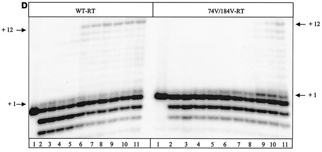 FIG. 5.