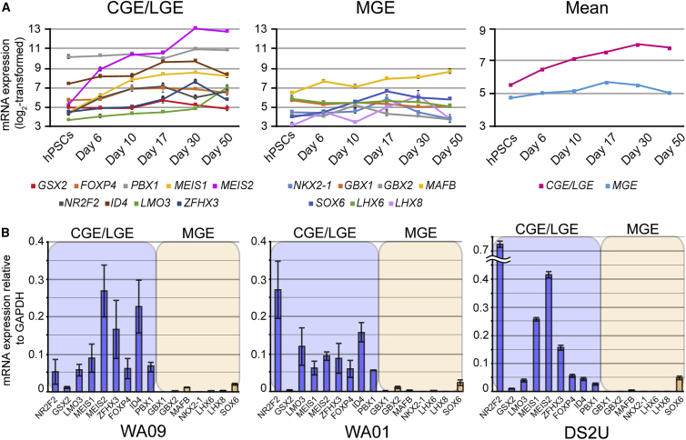 Figure 6