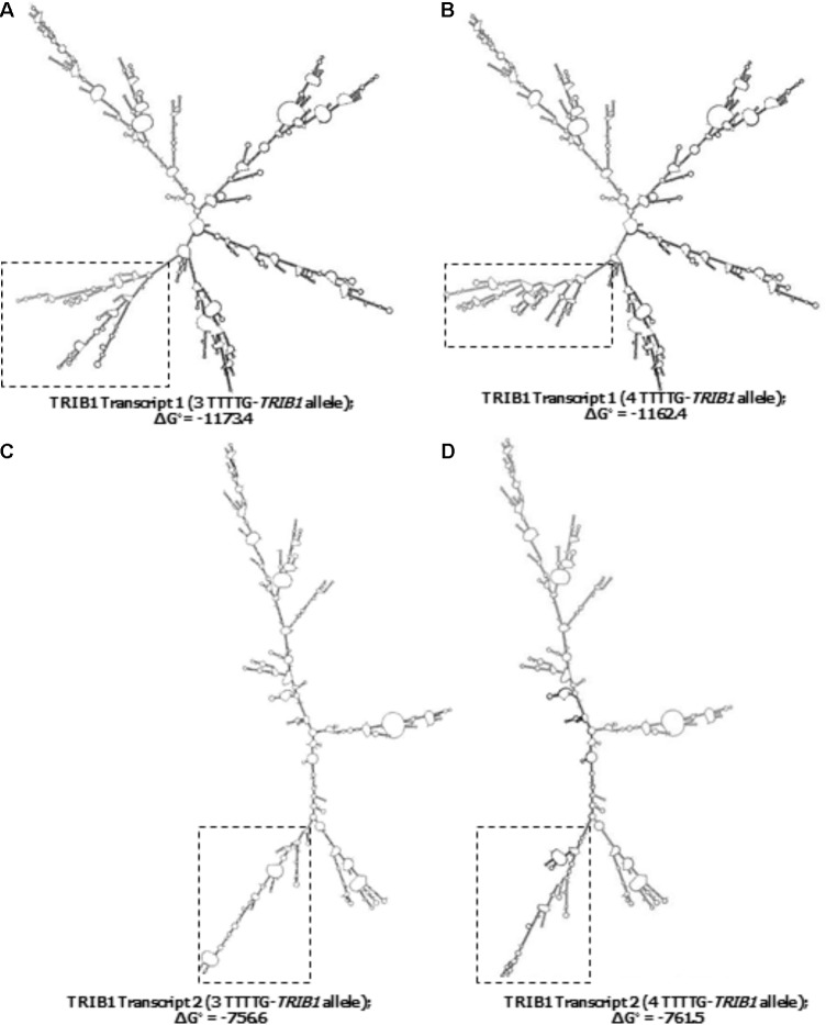 FIGURE 4