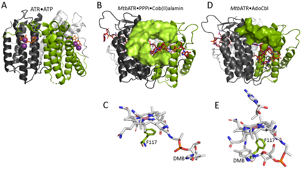 Figure 5.