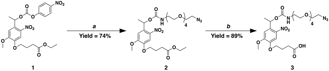 Scheme 1.