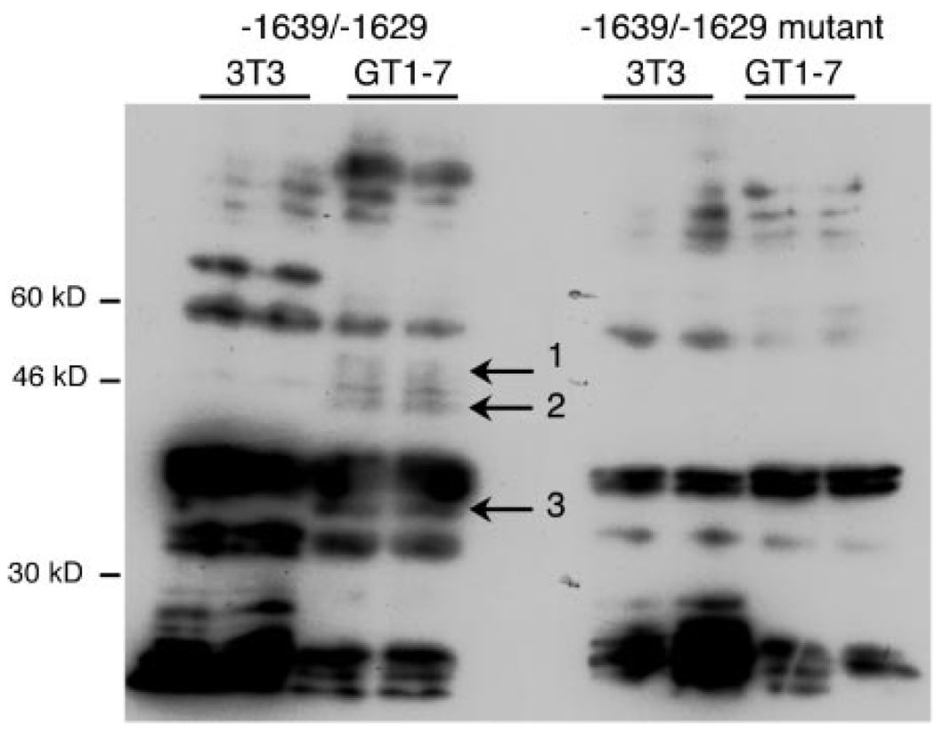 Fig. 11