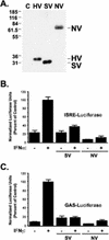 FIG. 1.