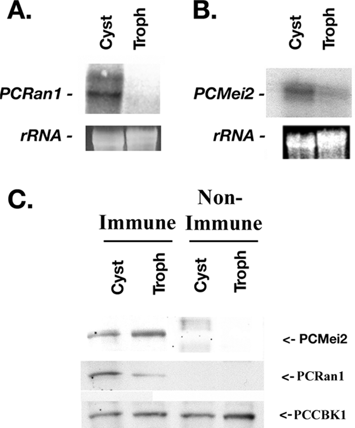 FIG. 7.