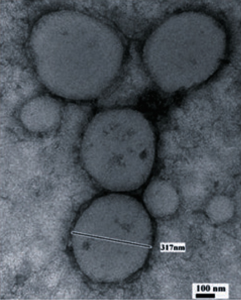 Fig. 2