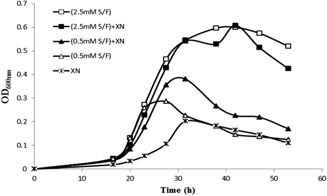 FIG 2