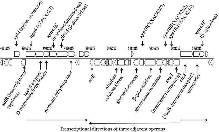 FIG 1