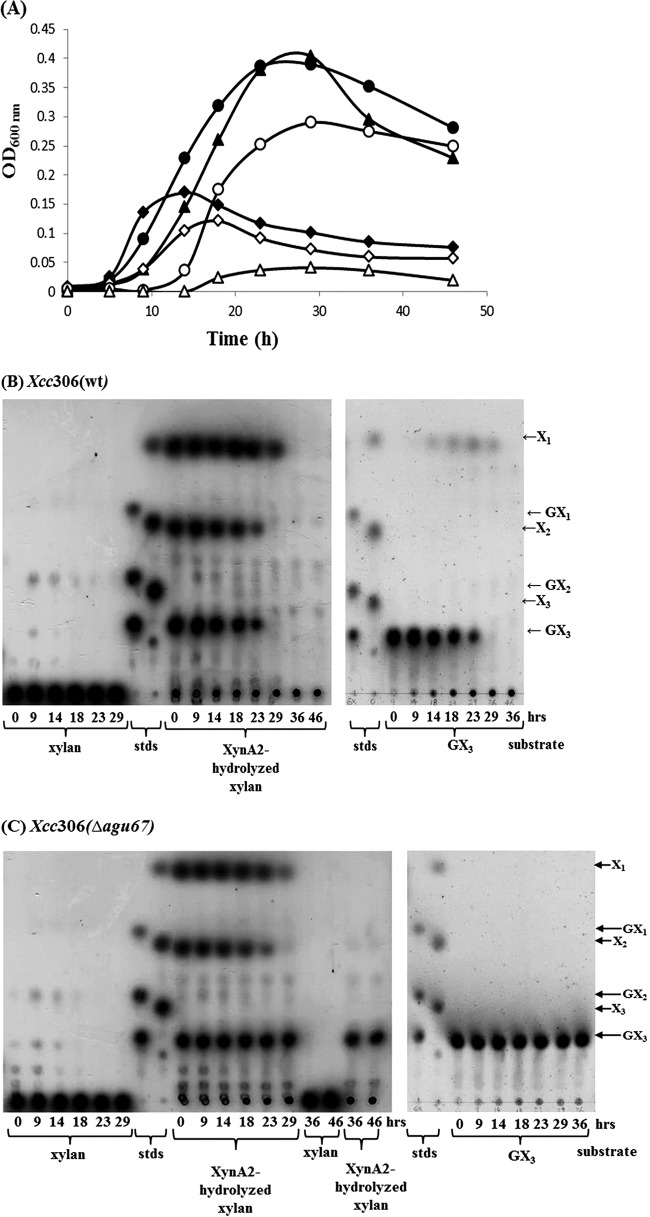 FIG 4