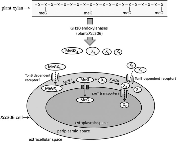 FIG 6