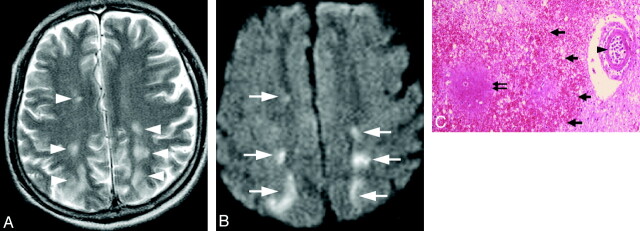 Fig 1.