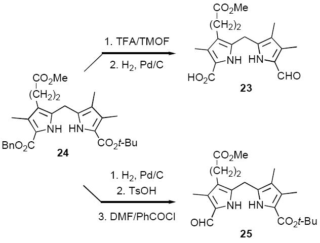 Scheme 7