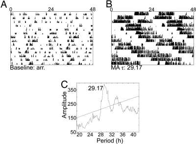 Fig. 7.