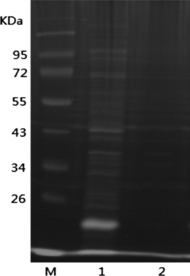 Fig. 6