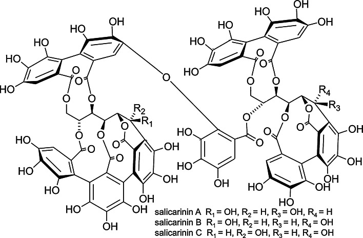 Fig. 2