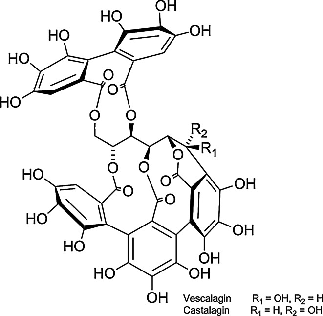 Fig. 1